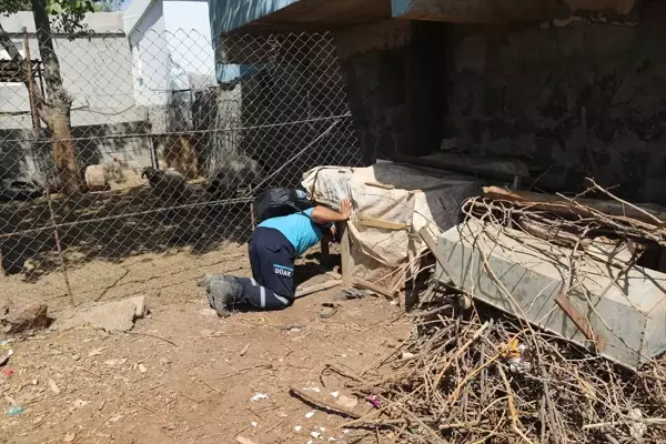 Narin Nerede? 6 Eylül Cuma Narin Bulundu mu? Kayıp Narin İçin Arama Çalışmaları Sürüyor