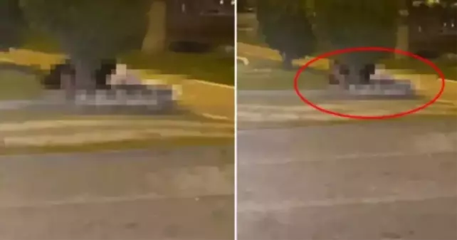 Samsun'da sokak ortasında ilişkiye giren çift! Samsun'da cinsel ilişkiye girenler kim?