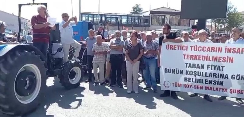 Tüm Köy Sen: ''TMO'nun kayısıya verdiği taban fiyat devede kulak kalmıştır. Resmen bizimle dalga geçilmektedir
