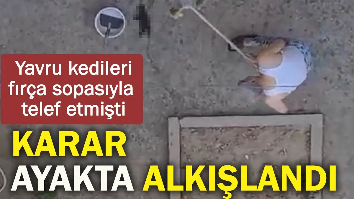 Yavru Kedileri Fırça Sapıyla Öldüren Şahsa 3 Yıl 9 Ay Hapis Cezası: Karar Alkışlarla Karşılandı