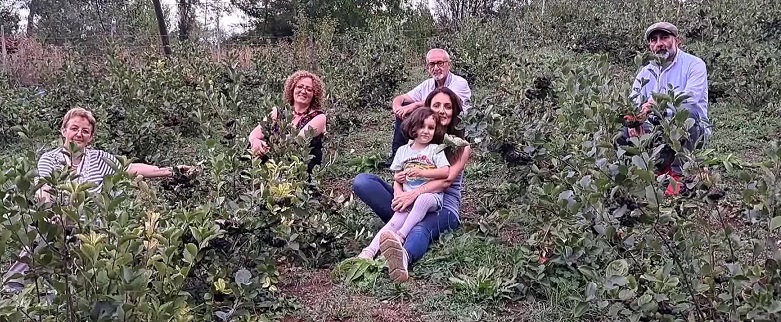 Artvin’in Ardanuç ilçesi Aşağı Irmaklar köyünde aronya meyvesi yetiştirilmeye başlandı