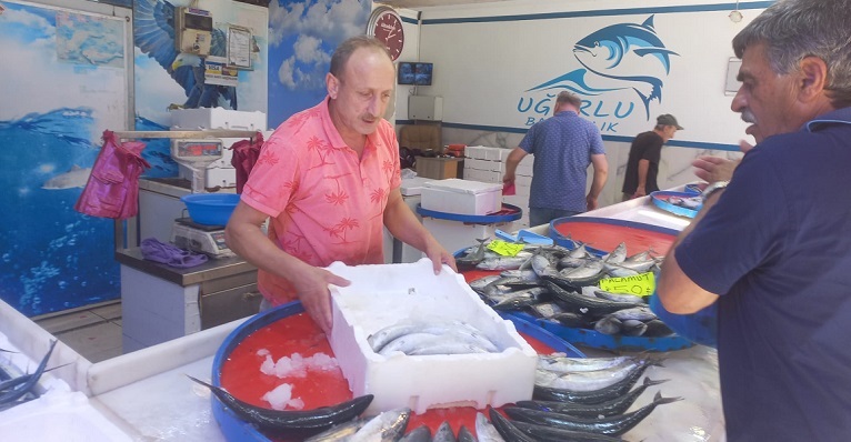 Rize'de Palamut Bolluğu Devam Ediyor: Tezgâhlardaki Fiyatlar Düşüyor