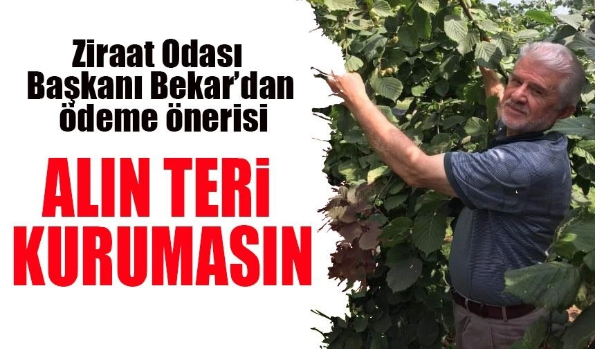 Bekar'dan TMO’ya Sert Eleştiri: 