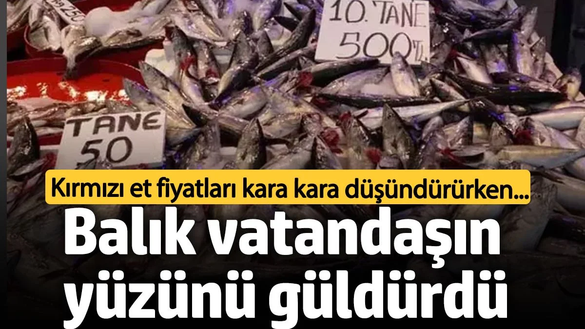 Kırmızı Etin Fiyatı El Yakarken, Balık Fiyatları Vatandaşın Yüzünü Güldürdü