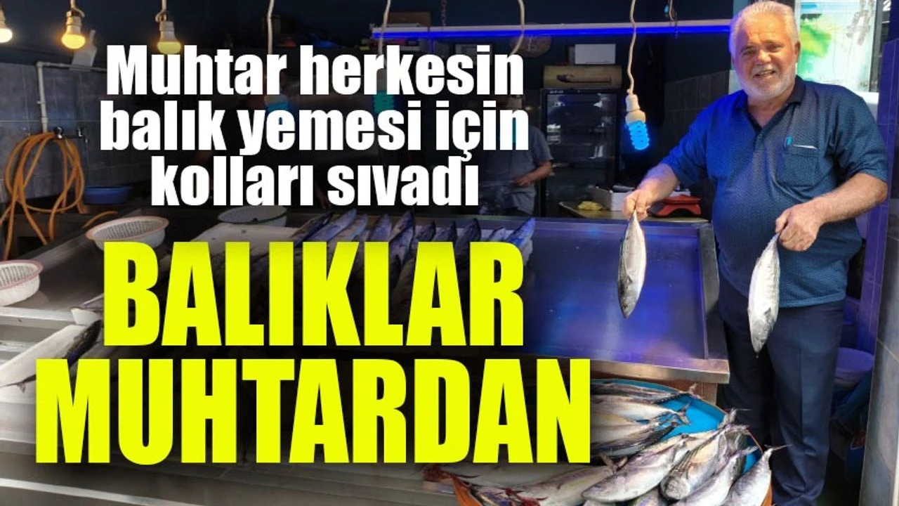 Muhtar Kolları Sıvadı: Mahalleye Balık İkramı Yaptı!