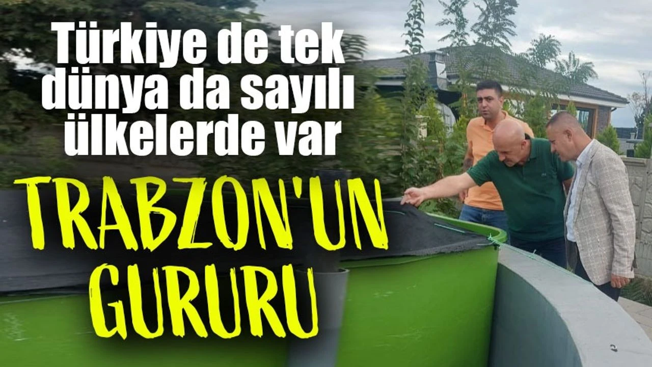 Türkiye’de Tek, Dünyada Sayılı: Trabzon’un Gururu Su Ürünleri Gen Bankası