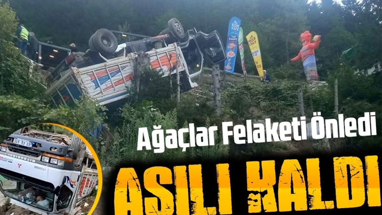 Çaykara'da Kamyon Devrildi: Ağaçlar Felaketi Önledi