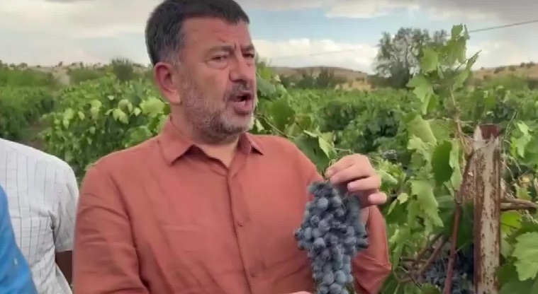 Veli Ağbaba: 