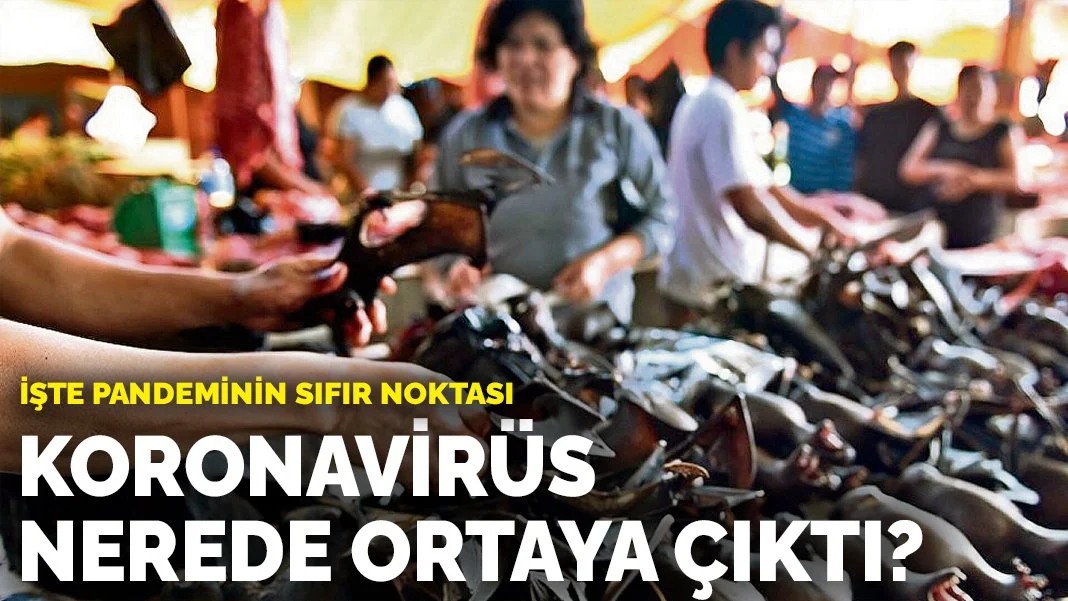 Koronavirüs nerede ortaya çıktı? İşte pandeminin sıfır noktası...