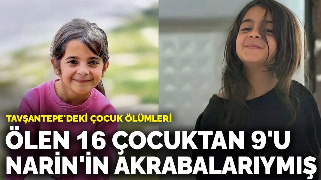 Tavşantepe'deki çocuk ölümleri: Ölen 16 çocuktan 9'u Narin'in akrabalarıymış