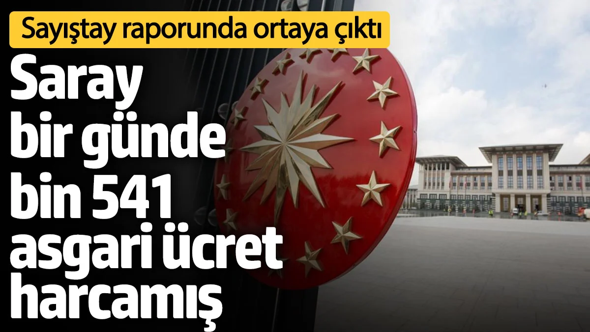 Saray bir günde bin 541 asgari ücret harcamış! Sayıştay raporunda ortaya çıktı