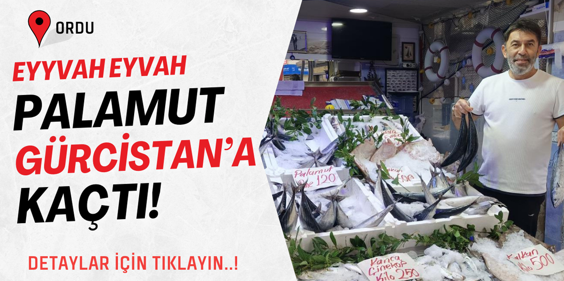 Palamut Gürcistan'a Kaçtı, Fiyatlar Yükseldi