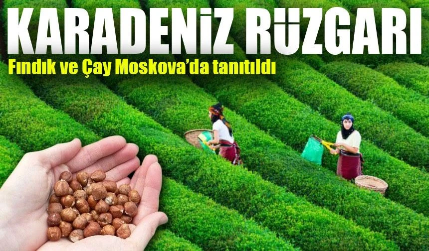 Karadeniz Rüzgarı Moskova'da Esti: DKİB Fuarında İhracat Ürünleri Tanıtıldı