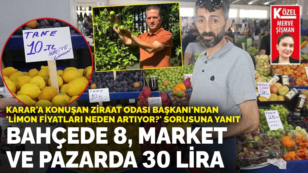 Ziraat Odası Başkanı Doğan: 