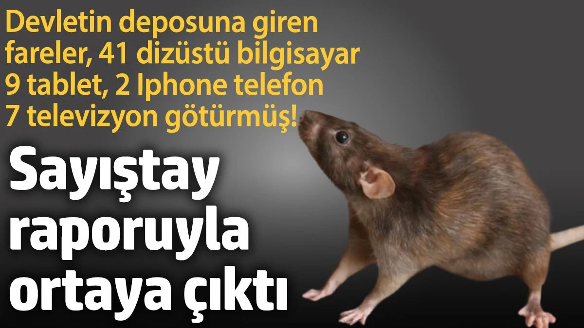 Devletin deposuna giren fareler, 41 dizüstü bilgisayar, 9 tablet, 2 Iphone, 7 televizyon götürmüş