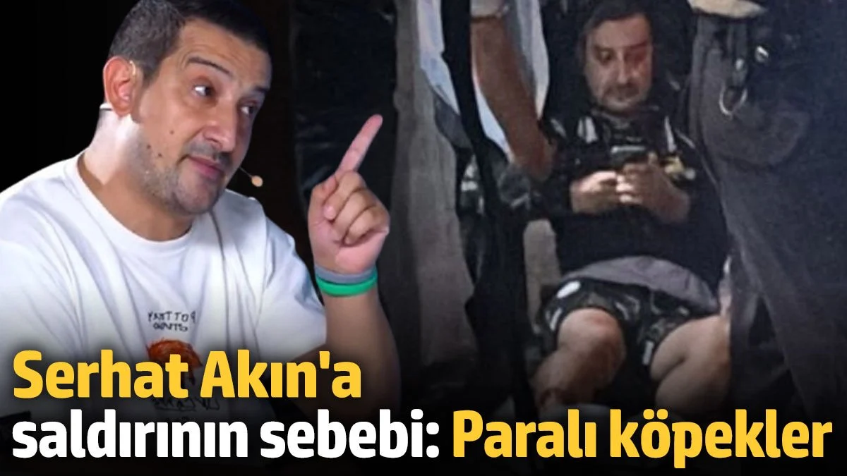 Serhat Akın'a saldırının sebebi: Paralı köpekler