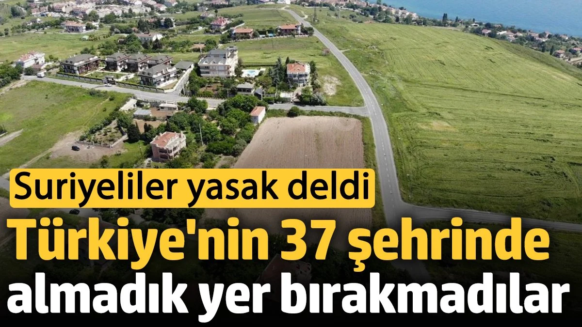 Türkiye'nin 37 şehrinde almadık yer bırakmadılar 'Suriyeliler yasak deldi'