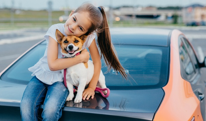 Kedi veya Köpeğiniz Antifriz Yediyse Ne Yapmalı?