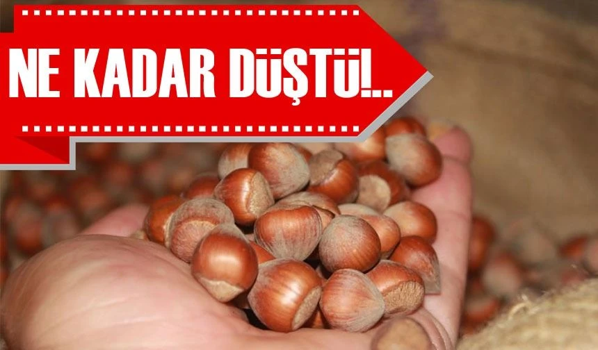 Serbest Piyasada Fındık Fiyatları Düşüşte: Üreticiler Endişeli