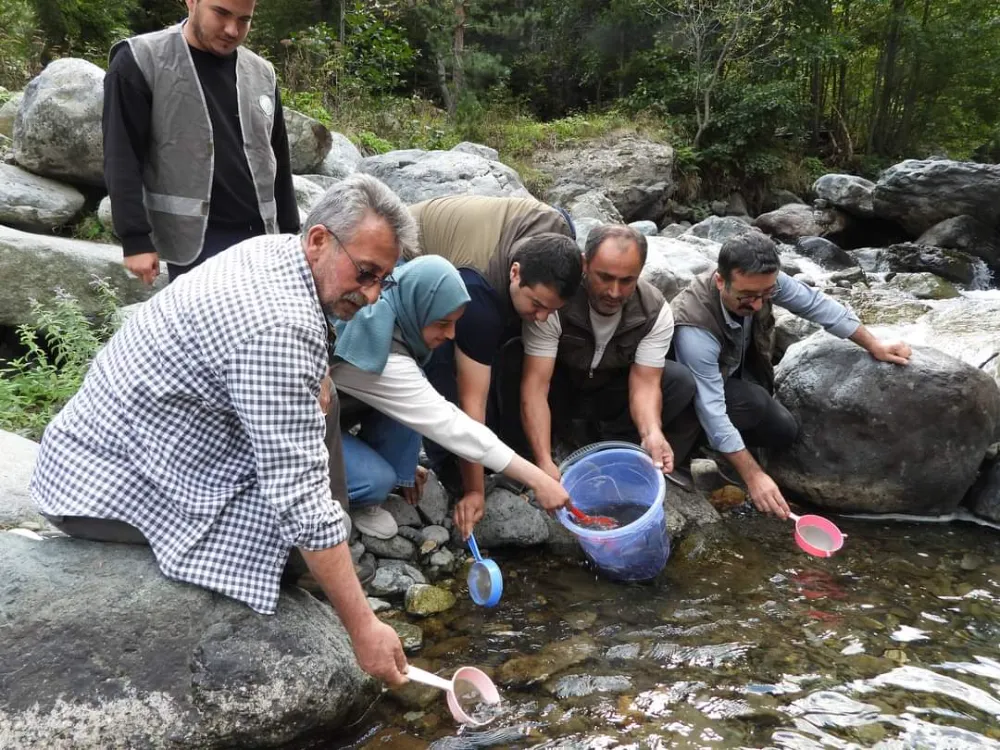 Artvin Barhal Deresi'ne 20 Bin Alabalık Bırakıldı