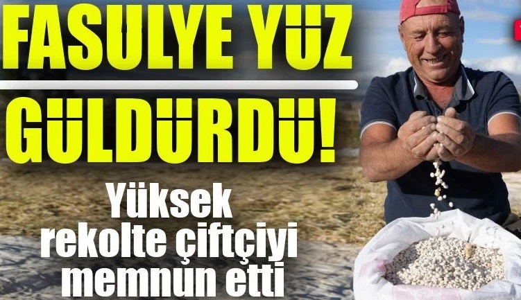 Bayburt’ta Hasat Coşkusu: Yüksek Rekolte Çiftçileri Sevindirdi