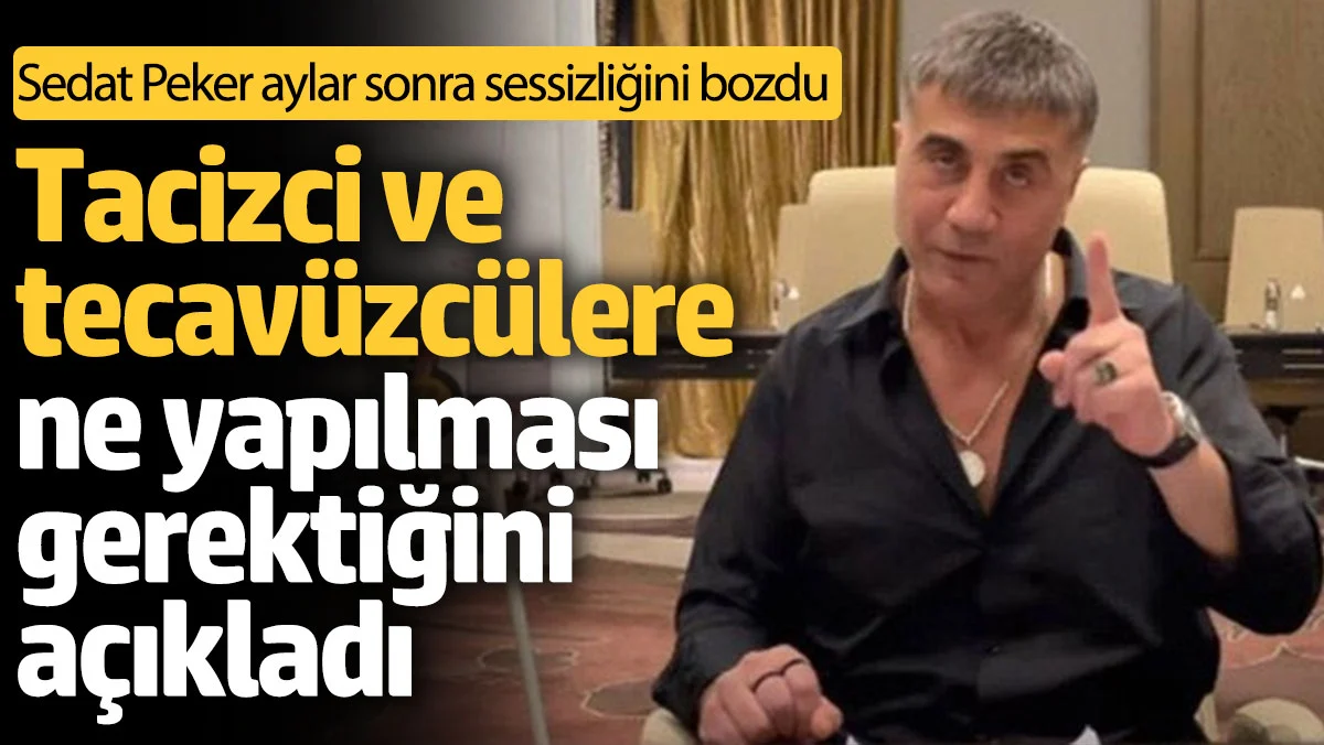 Sedat Peker, Taciz ve Tecavüz Olaylarına Tepki Gösterdi