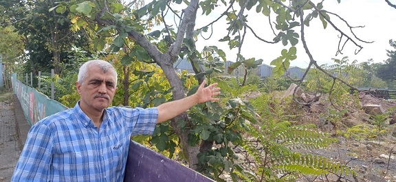 Gergerlioğlu: 