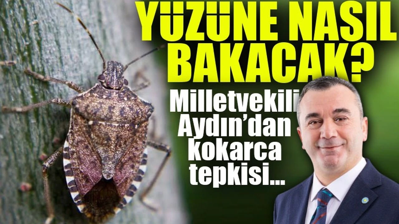 Kahverengi Kokarca Böceği Krizi: Fındık Çiftçileri Zor Durumda, İYİ Parti'den Acil Önlem Çağrısı