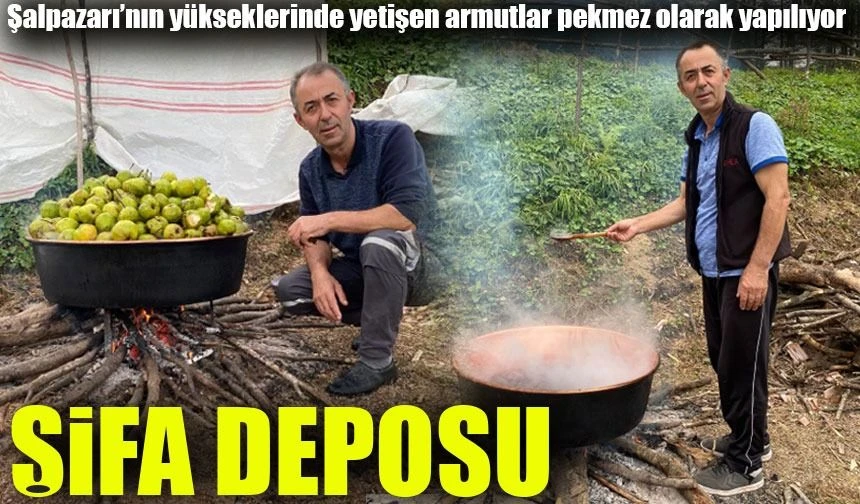 Armut Pekmezinin Sırrı: Şalpazarı'nda Doğal Şifa Deposu