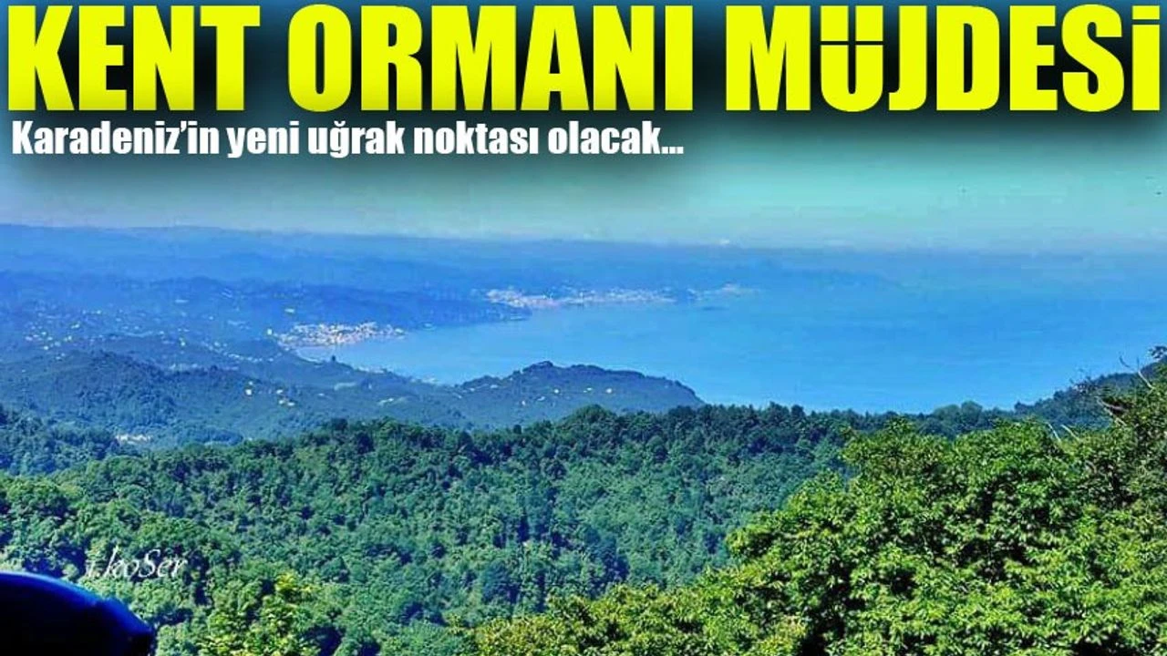 Espiye'ye Yeni Cazibe Merkezi: Kent Ormanı Projesi Hayata Geçiyor