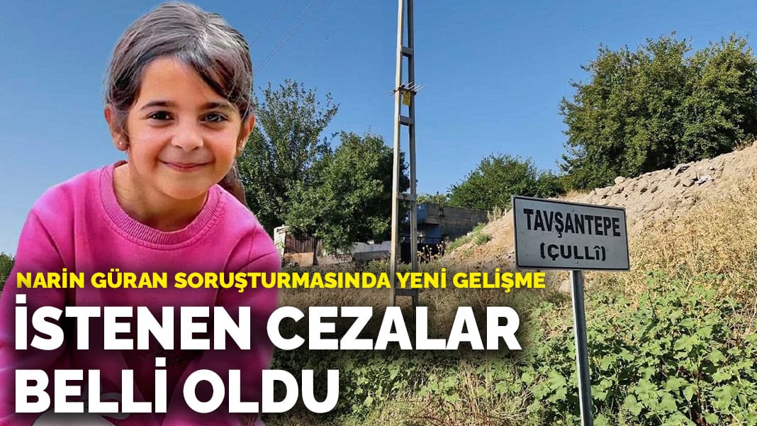 Narin Güran Soruşturmasında Yeni Gelişme: İstenen Ceza Belli Oldu