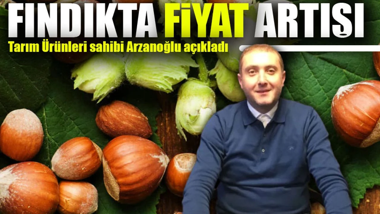 Ünye’de Fındık Fiyatları Hareketlendi: Yılbaşına Doğru Daha Da Yükselebilir