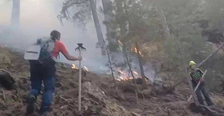 Denizli'nin Merkezefendi ilçesinde sarp ve kayalık bölgede çıkan orman yangını 2 gündür devam ediyor