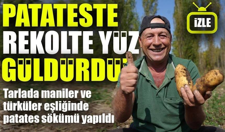 Bayburt'ta Patates Hasadı Bayram Havasında: Çiftçiler Yüksek Rekolte ile Neşelendi