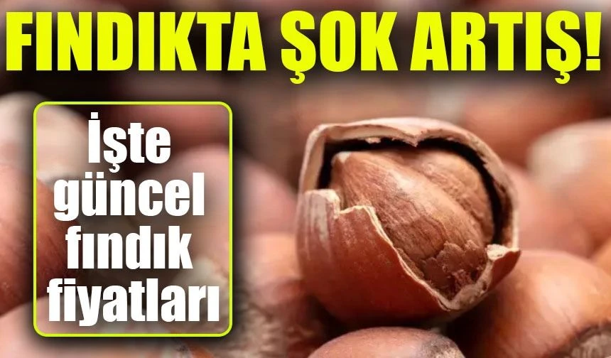 Fındık Fiyatlarında Şok Artış! Üreticiler ve Tüccarlar Ne Yapacak?