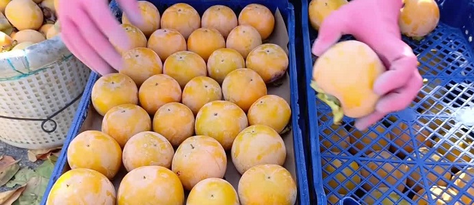  Toroslar Belediye Başkanı Yıldız: 