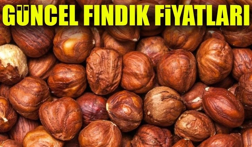 Fındık Fiyatlarında Şok Artış! Üreticiler ve Tüketiciler Dikkat: İşte Güncel Fiyatlar!
