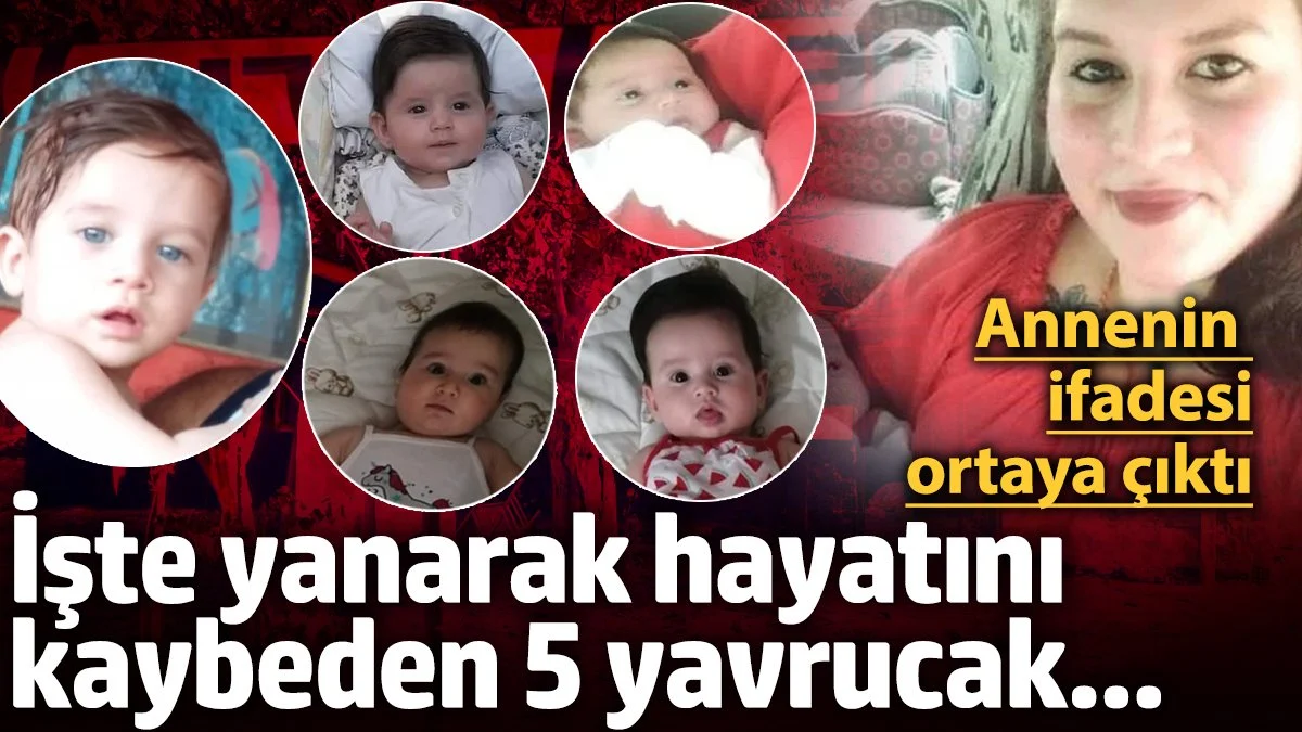 İşte yanarak hayatını kaybeden 5 yavrucak... Annenin ifadesi ortaya çıktı