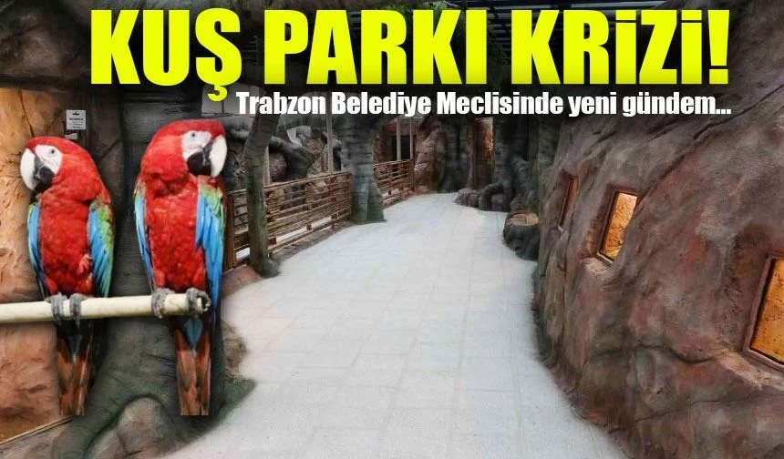 Trabzon Belediye Meclisi'nde Kuş Parkı Krizi: Mülkiyet Sorunu Tartışıldı