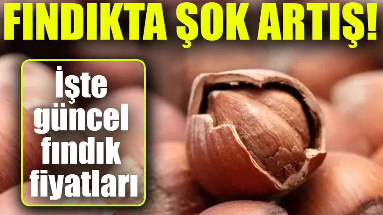 Fındık Fiyatlarında Hızlı Yükseliş: Üreticiler Kazanıyor, Tüketiciler Zorlanıyor