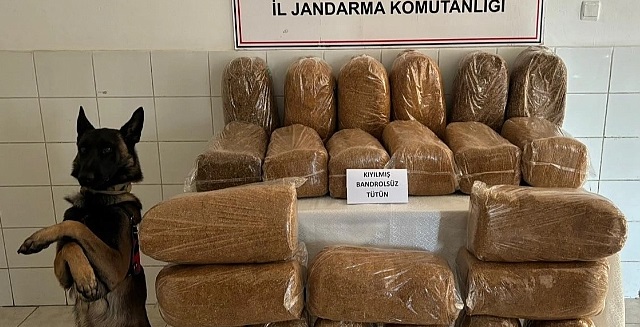 Gümüşhane’de Kaçak Tütün Operasyonu: 138 Kilogram Ele Geçirildi