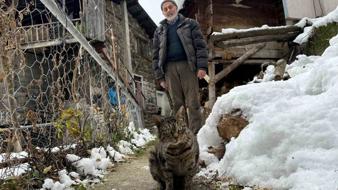 Artvinli Ahmet Amca'nın Kedilere Uzanan Şefkat Eli