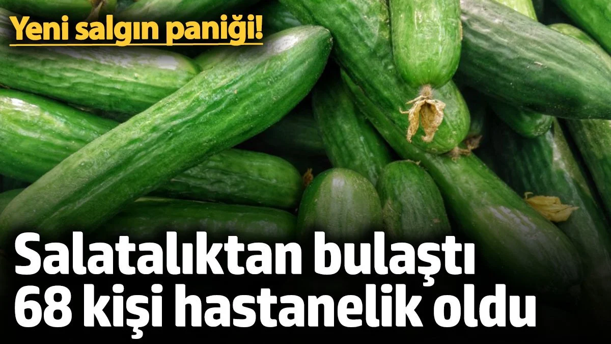 Yeni salgın paniği! ABD'de salatalıktan bulaşan salgın 68 kişiyi hastanelik etti