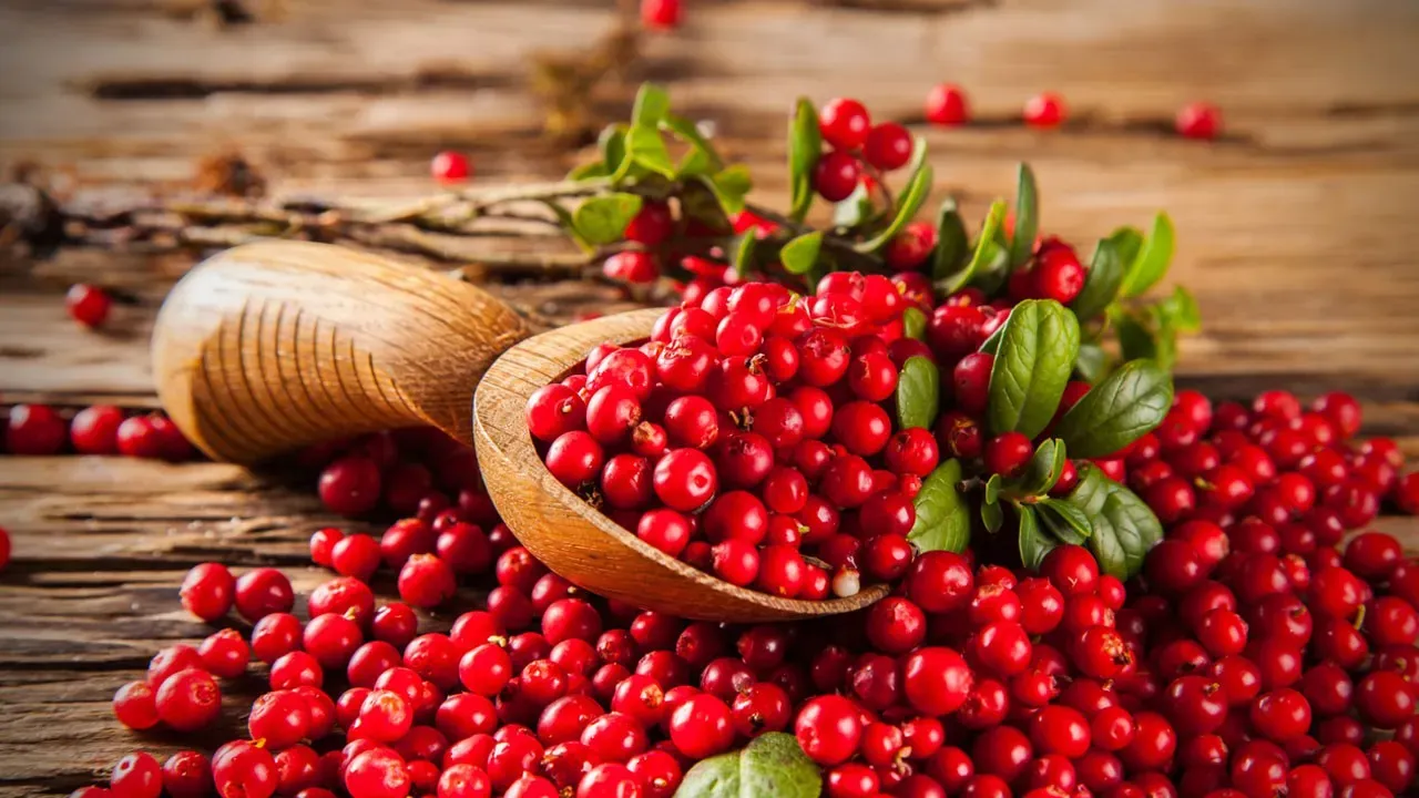 Cranberry'nin Sağlık Sırları: Turna Yemişi Faydaları Nelerdir?