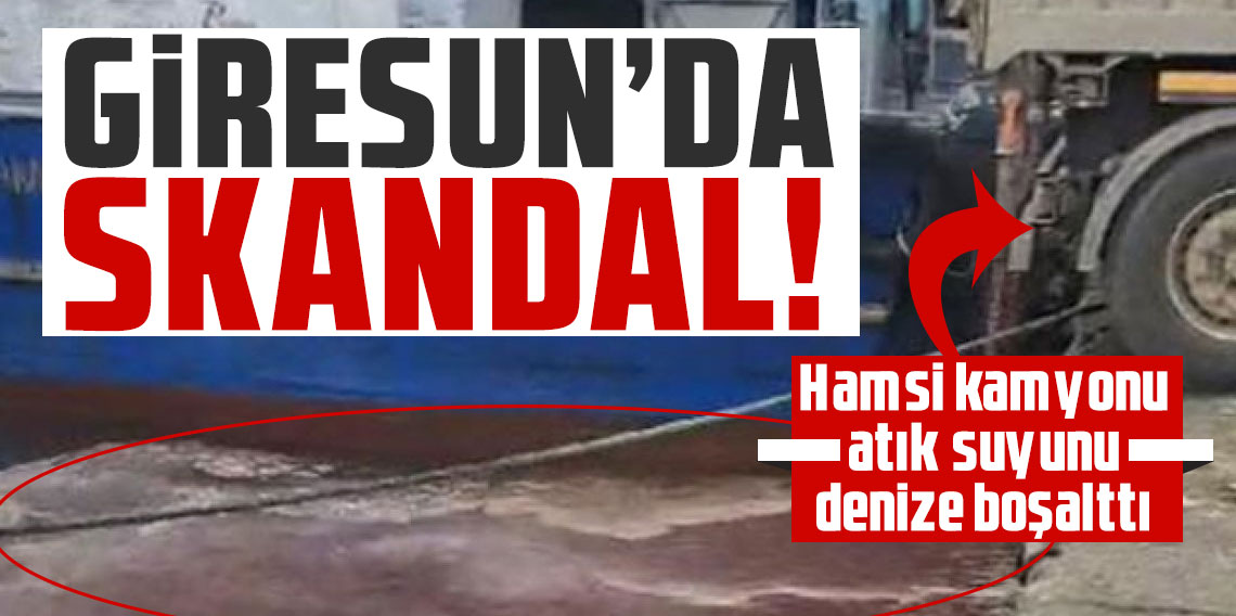 Giresun'da Çevre Skandalı: Hamsi Kamyonu Atık Suyunu Denize Boşalttı