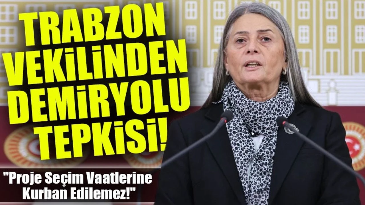 Trabzon-Erzincan Demiryolu İçin Mecliste Çarpıcı Çıkış: 