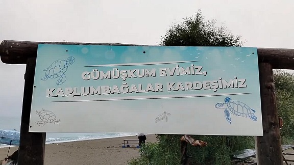 Mersin Barosu'ndan Gümüşkum için çağrı