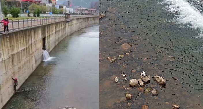 Güneysu deresine düşen kediyi itfaiye ekipleri kurtardı.