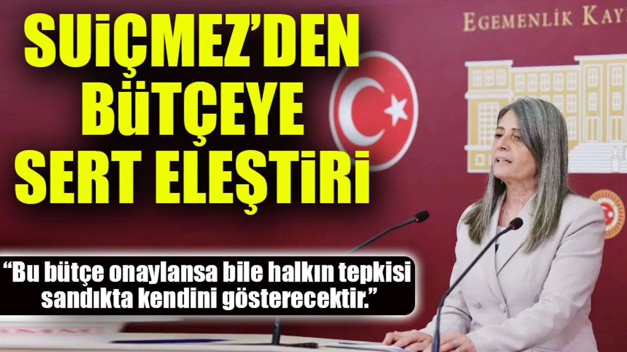Sibel Suiçmez’den Bütçeye Sert Eleştiri: “Faize Ayrılan Pay Yüzde 13, Sosyal Yardımlar Yüzde 4,4”