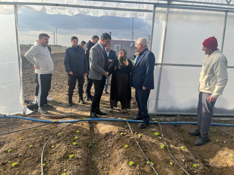Esetçe'nin umut ışığı Meryem Teyze modern tarımla öne çıkıyor